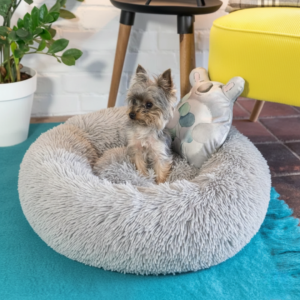 Naya Comfort Polyester Pet Bed